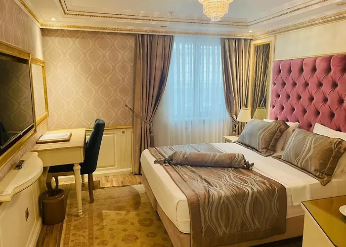 ホテル Emirhan Palace 4*