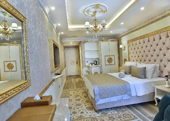 ホテル Emirhan Palace