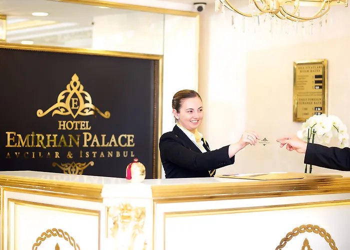 ホテル Emirhan Palace 4*