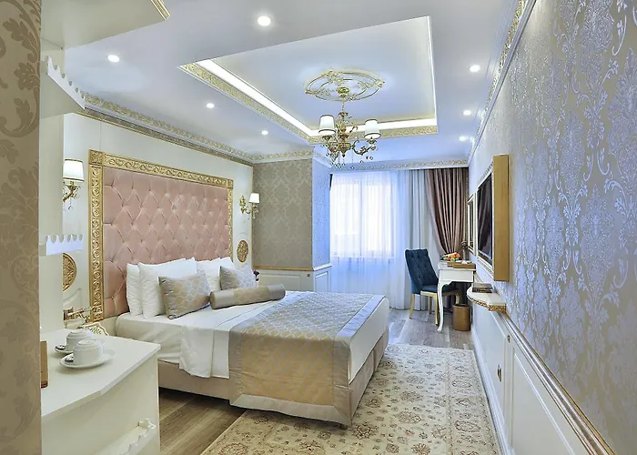 ホテル Emirhan Palace